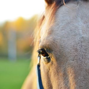 Meet your Posher, Marah